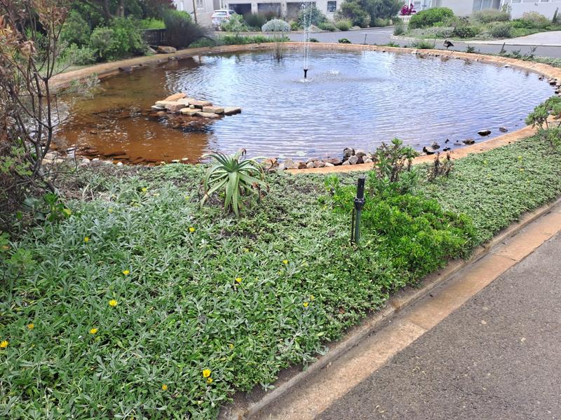 2 Bedroom Property for Sale in Westcliff Western Cape